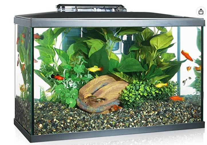 10-gallon LED aquarium kit