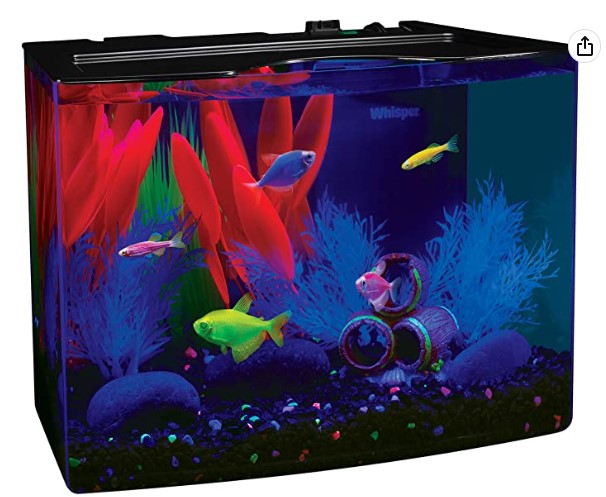 GloFish