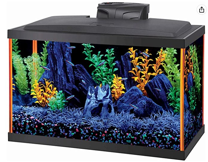 Aqueon NeoGlow 10 gallon aquarium