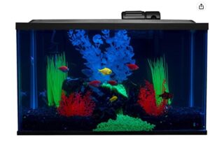 Read more about the article Best 10 Gallon Fish Tank | Aquarium Kit