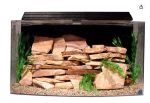 Read more about the article Best 40 | 50 Gallon Fish Tank | Aquarium Kit