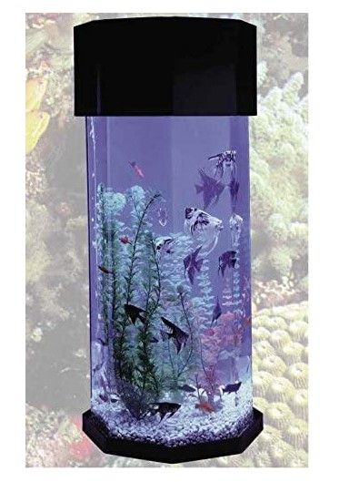 Midwest Tropical Fountain Aqua 10 Gallon Scape Octagon Aquarium Kit