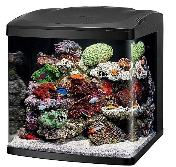 Coralife Aquarium Kit