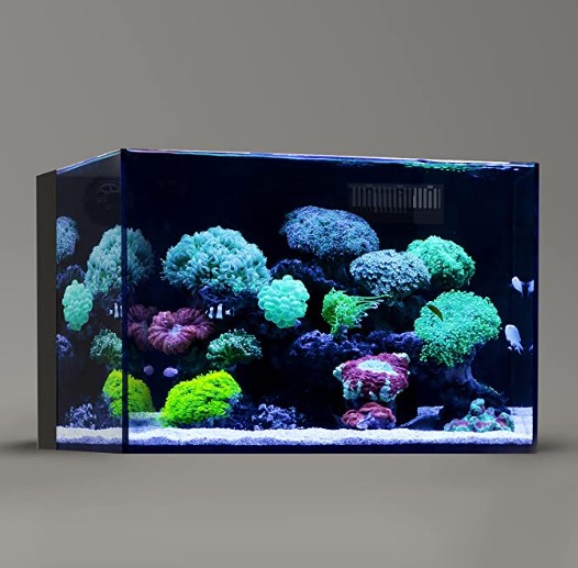 Landen 60P Aquarium Kit